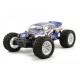 FTX - BUGSTA TOUT TERRAIN 1/10 RTR BRUSHED 4WD FTX5530