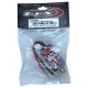 FTX - OUTBACK 2.0 RC390 BRUSHED MOTOR FTX8181