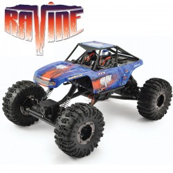 FTX - RAVINE 1:10 RTR M.O.A. ROCK BUGGY CRAWLER FTX5574