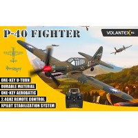 P40 WARHAWK 4CH 400MM BRUSHED w/GYRO EPP RTF