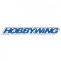 Hobbywing